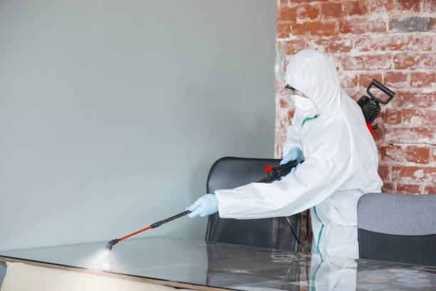 Why You Should Choose Our Mold Remediation Services in Bessemer, MI